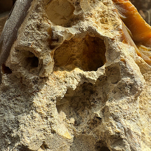 Versteend Koraal ruw Brok Indonesië van 3 kg