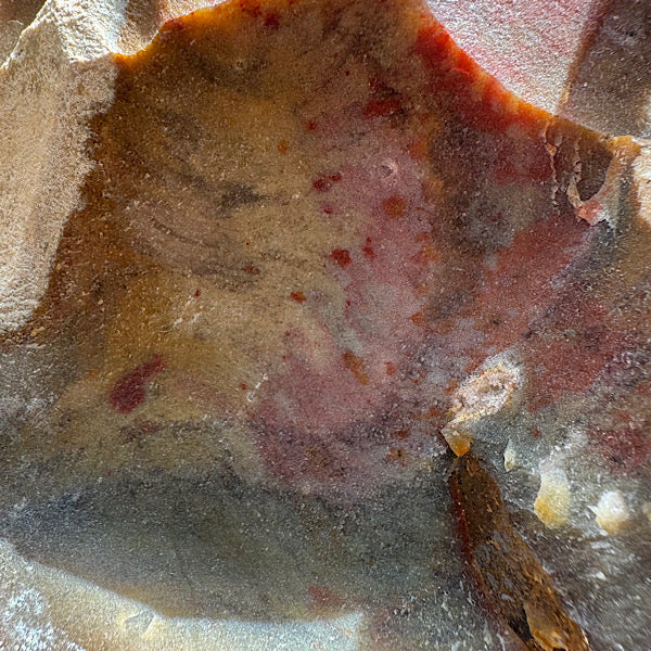 Versteend Koraal ruw Brok Indonesië van 3 kg