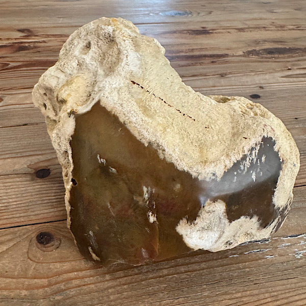 Versteend Koraal ruw Brok Indonesië van 3 kg