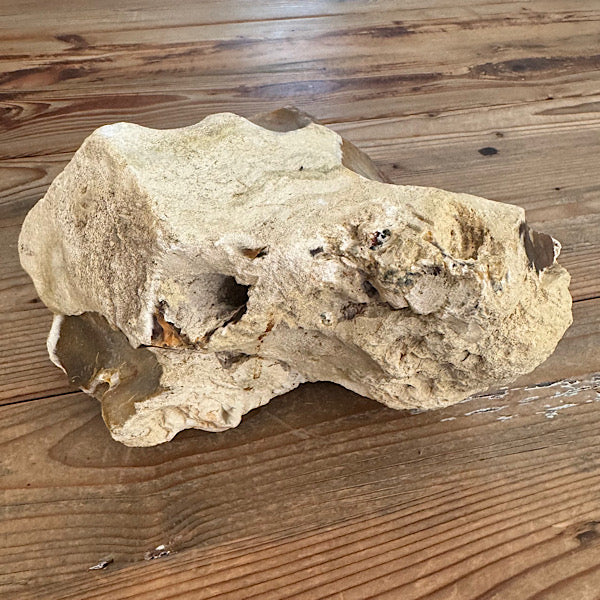 Versteend Koraal ruw Brok Indonesië van 3 kg