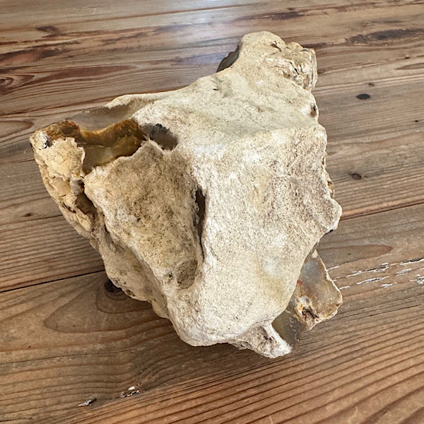 Versteend Koraal ruw Brok Indonesië van 3 kg