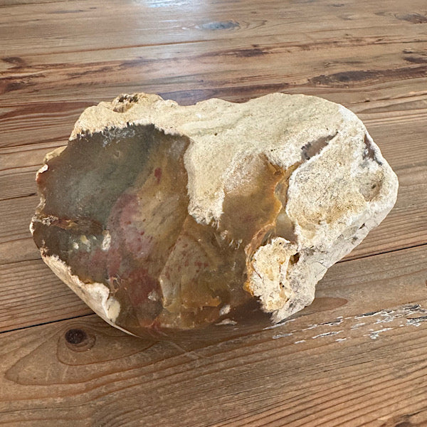 Versteend Koraal ruw Brok Indonesië van 3 kg