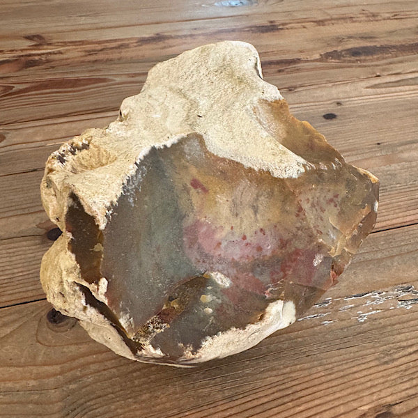 Versteend Koraal ruw Brok Indonesië van 3 kg