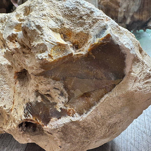 Versteend Koraal ruw Brok Indonesië van 3 kg