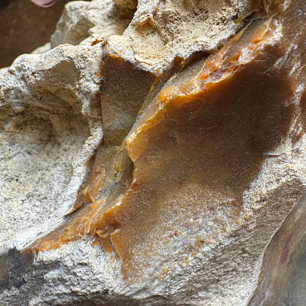 Versteend Koraal ruw Brok Indonesië van 3 kg