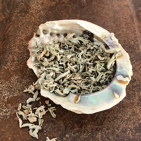 abalone schelpen middel de sfeermakers