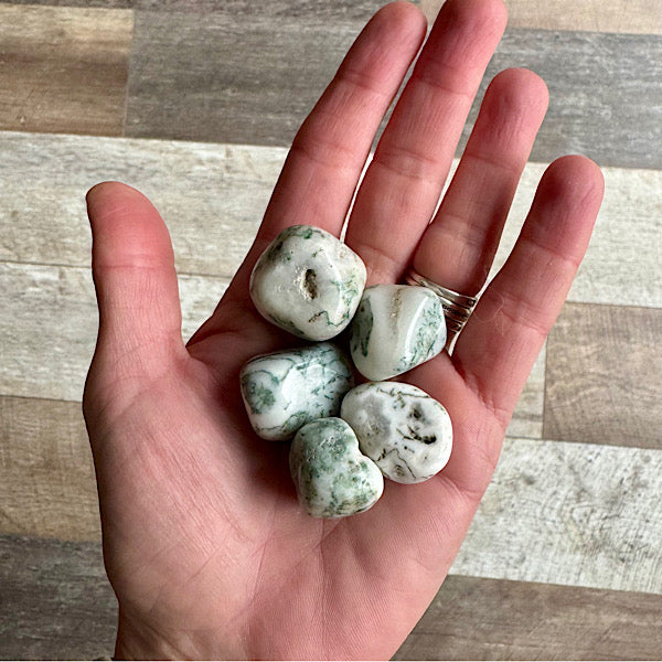 agaat boom trommelsteen