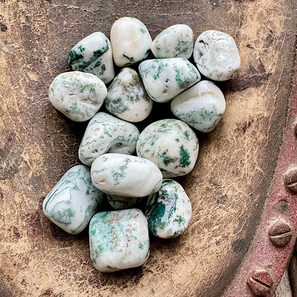 agaat boom trommelsteen