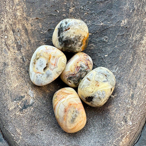 agaat crazy lace trommelsteen edelstenenmineralenwinkel.nl