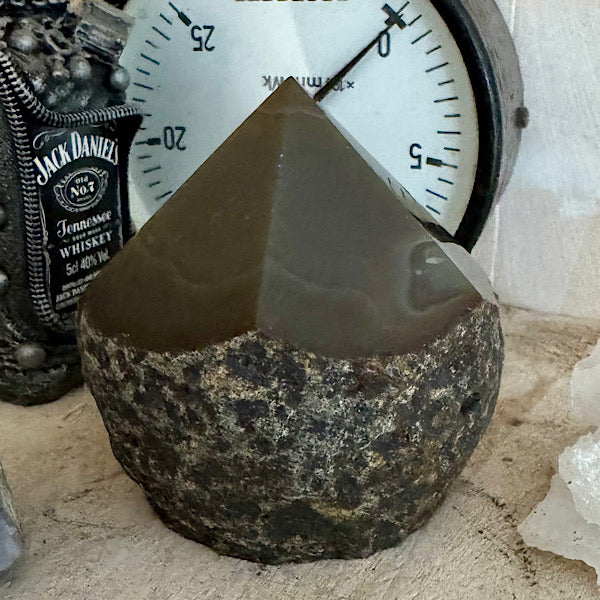 agaat donker bruin punt generator gepolijst toren