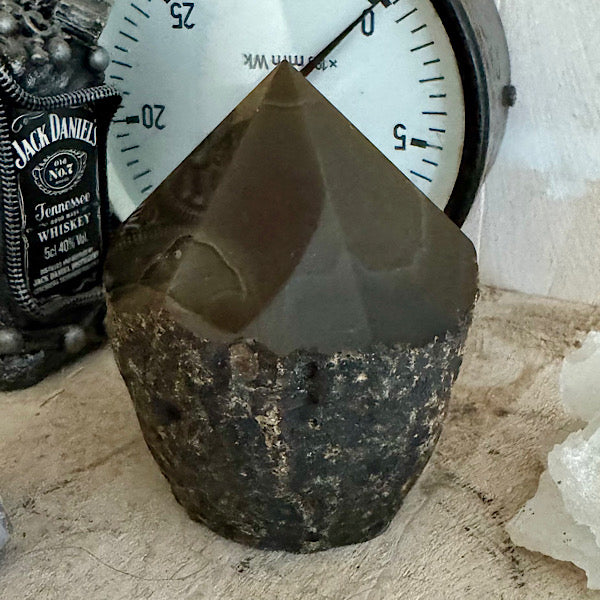 agaat donker bruin punt generator gepolijst toren