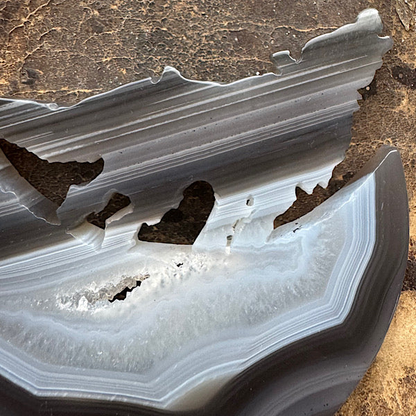 agaat druzy wolf huilen naar maan zwart standaard kristallen