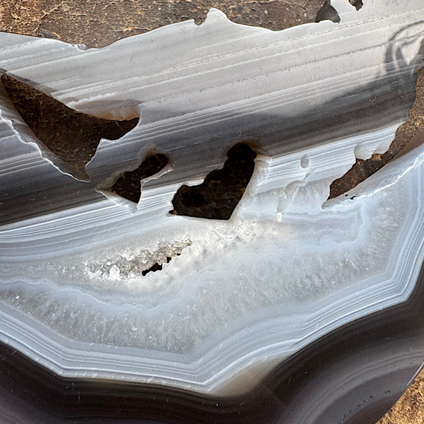 agaat druzy wolf huilen naar maan zwart standaard kristallen