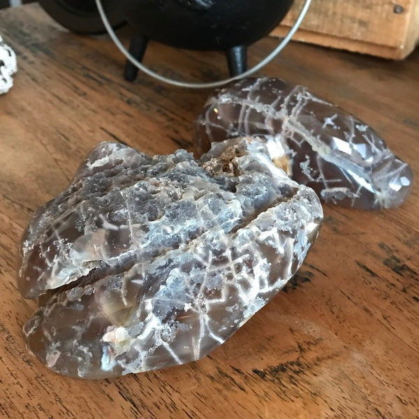 Geode Agaat Gepolijst Bruin