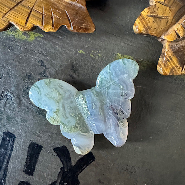 agaat mos edelstenen vlinders