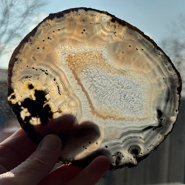 agaat schijf b gepolijst kristallen