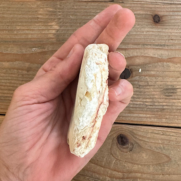 agaat tube indonesië ruw brok gepolijst nr1