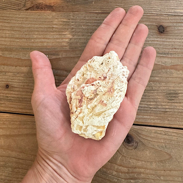 agaat tube indonesië ruw brok gepolijst nr1