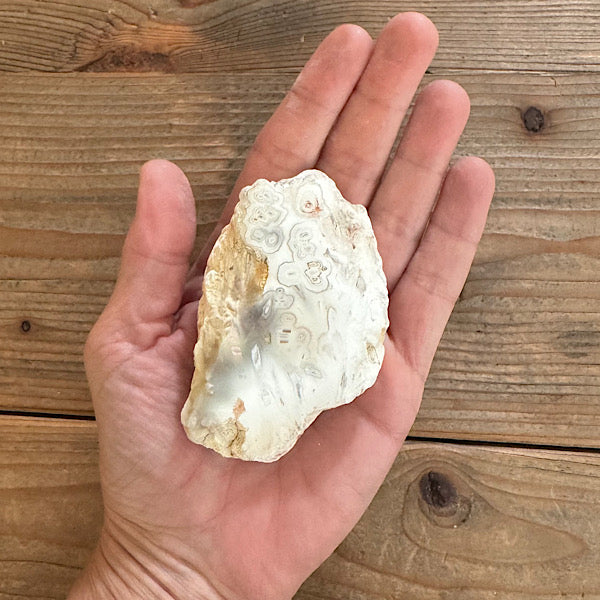 agaat tube indonesië ruw brok gepolijst nr1