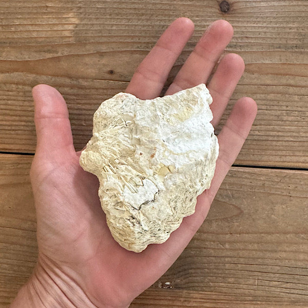 agaat tube indonesië ruw brok gepolijst nr2