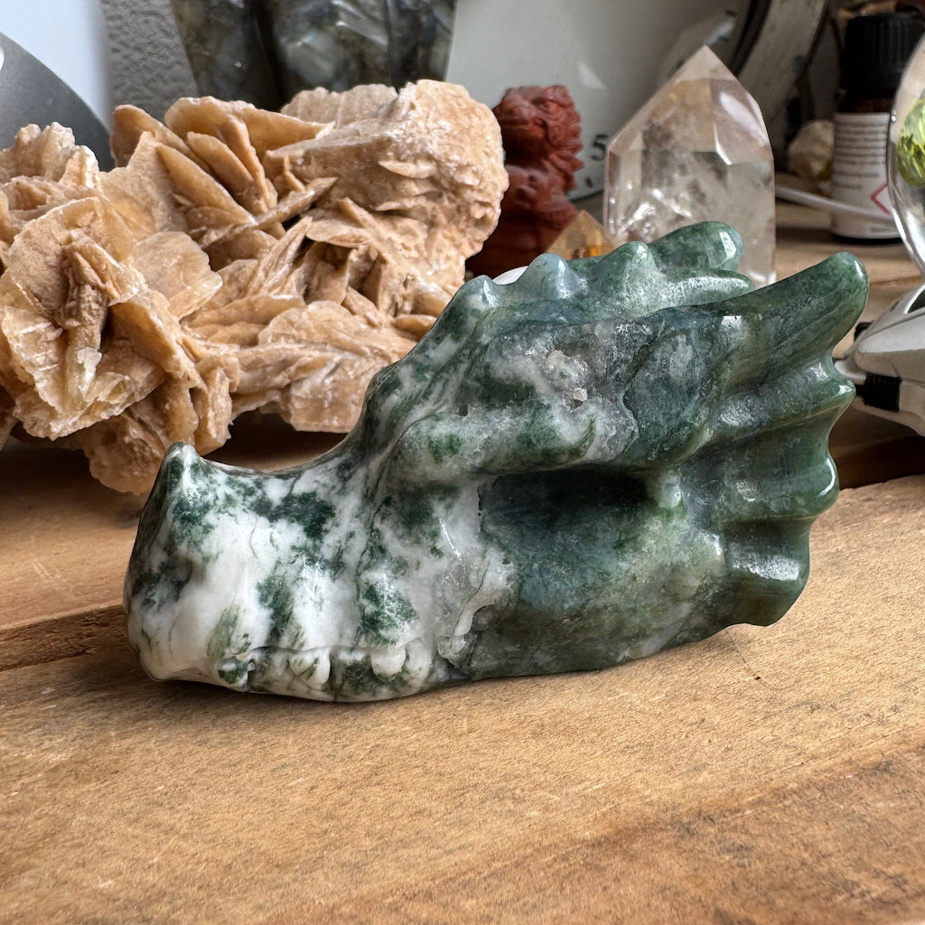 agaat boom drakenschedel dragon skull A 1
