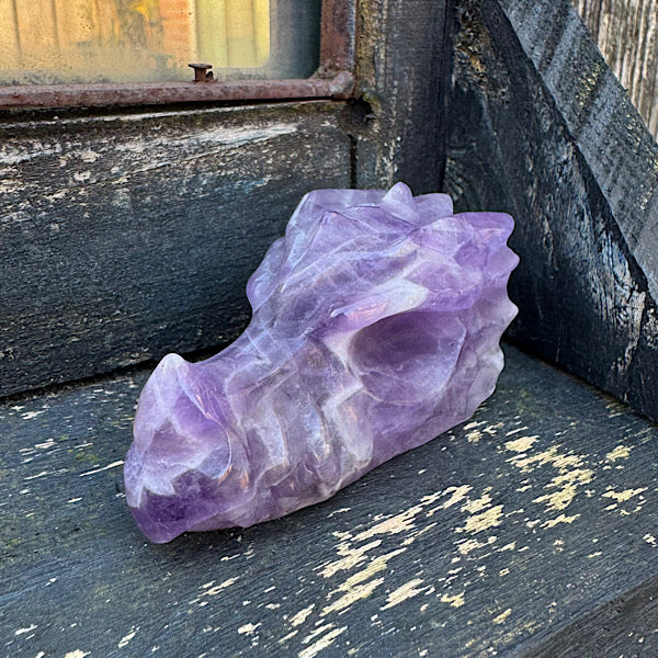 Draken Schedel Amethist Skull A