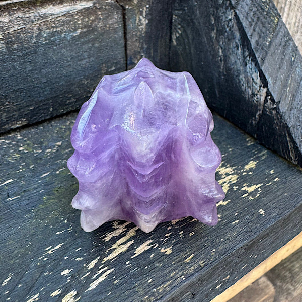 Draken Schedel Amethist Skull A