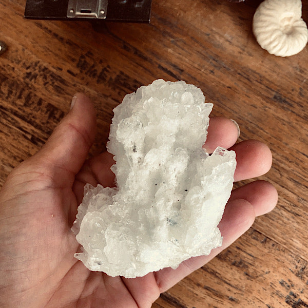 aragoniet wit nr1 kristallen ruw mineralen