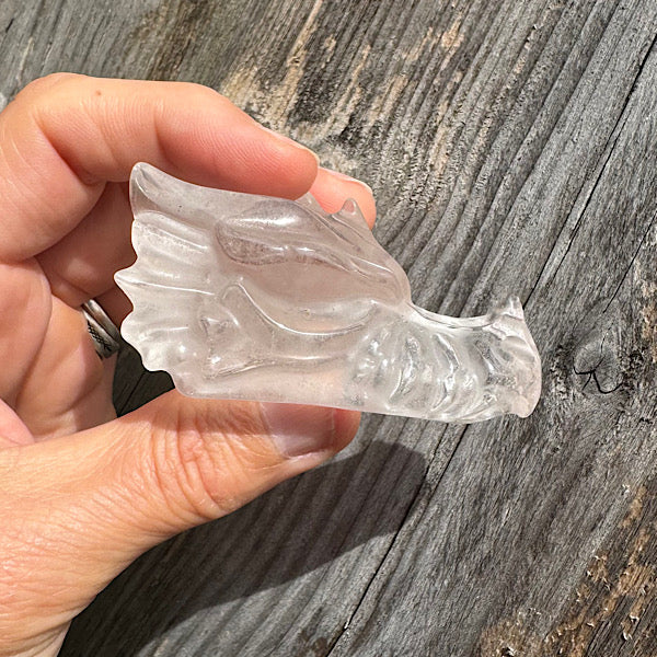 bergkristal draken schedel dragon skull A