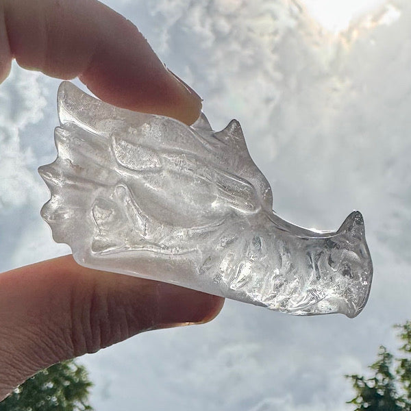 bergkristal draken schedel dragon skull A