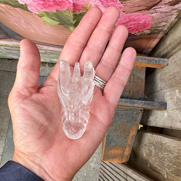 bergkristal draken schedel dragon skull A