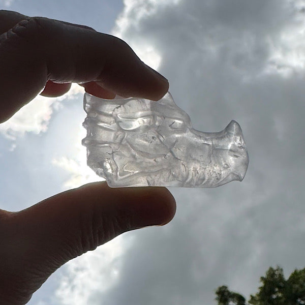 bergkristal draken schedel dragon skull klein