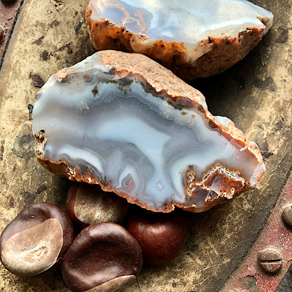 Agaat paar blauw wit rood marokko knol geode schatkamer