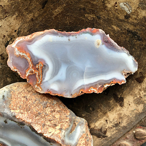 Agaat paar blauw wit rood marokko knol geode schatkamer