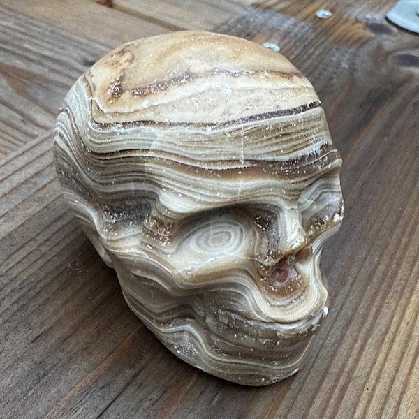 calciet chocolade schedel skull human