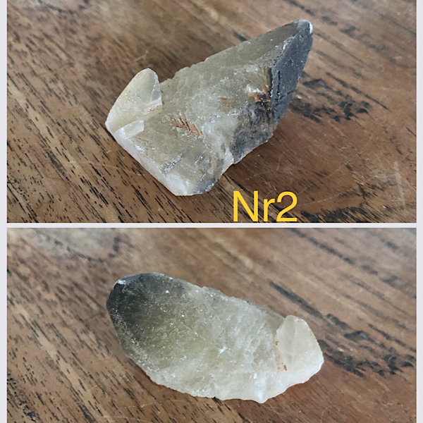 calciet dogteeth nr2 1