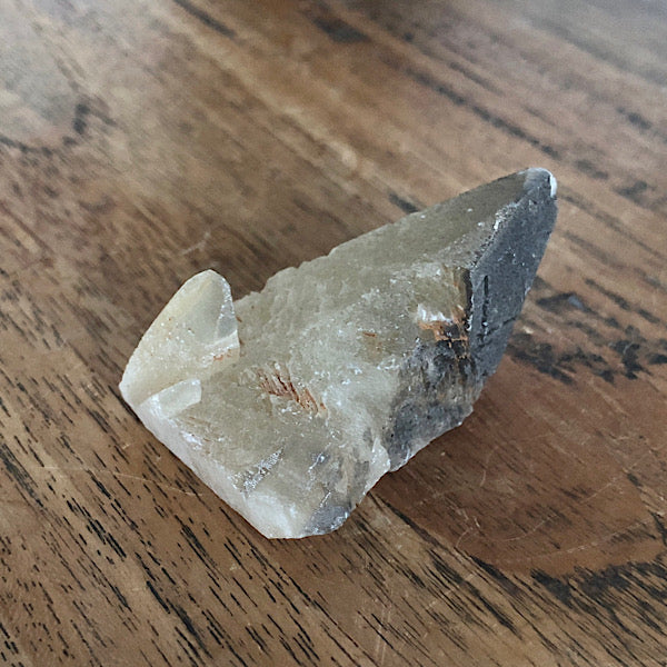 Punt Calciet DogTooth Kleine Prijs