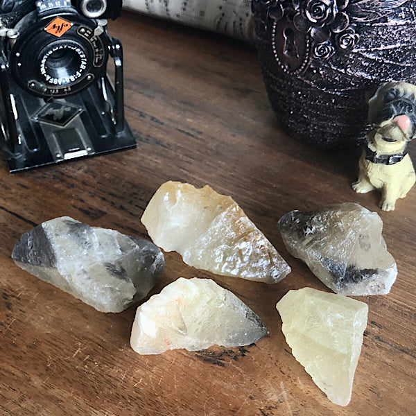 Punt Calciet DogTooth Kleine Prijs