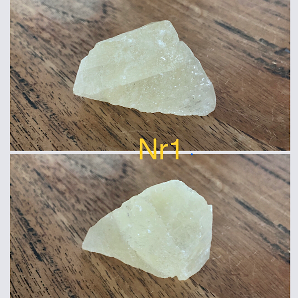 calciet dogteeth punt kleine prijs nr1 1