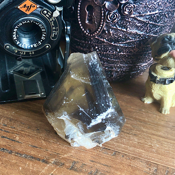 Punt Calciet DogTooth met Zwart Fantoom