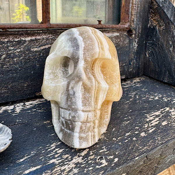 calciet zebra human skull schedel lichtwezen grijs oranje wit