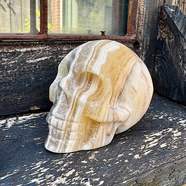 calciet zebra human skull schedel lichtwezen grijs oranje wit