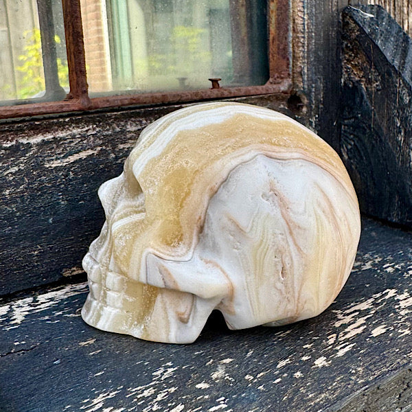 calciet zebra human skull schedel lichtwezen grijs oranje wit