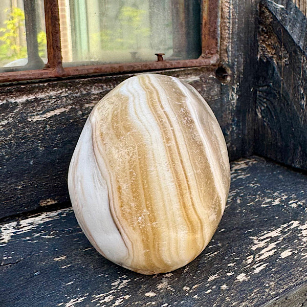 calciet zebra human skull schedel lichtwezen grijs oranje wit