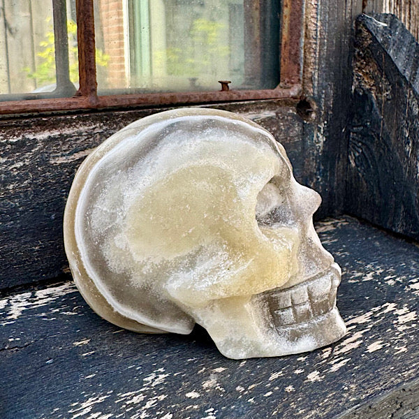 calciet zebra human skull schedel lichtwezen grijs oranje wit