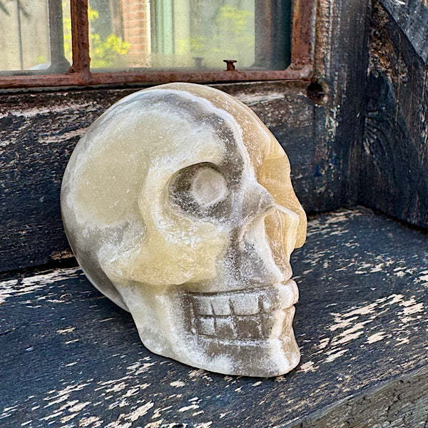 calciet zebra human skull schedel lichtwezen grijs oranje wit