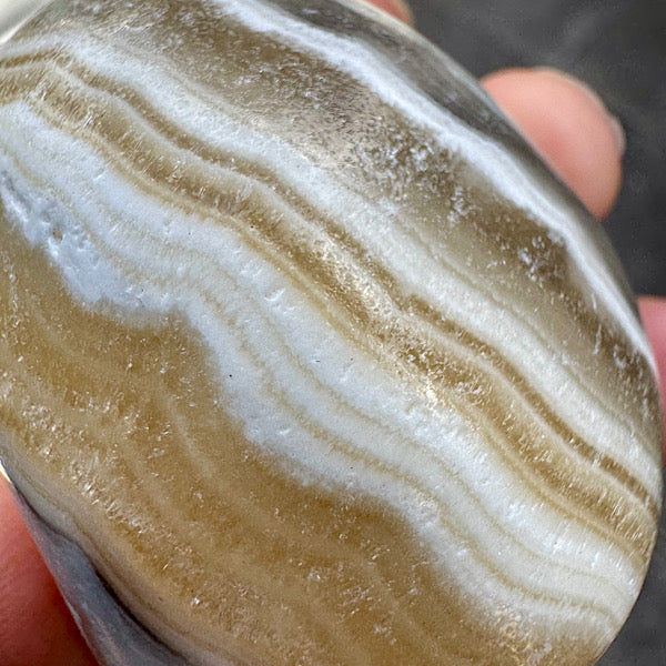 calciet zebra human skull schedel lichtwezen grijs oranje wit