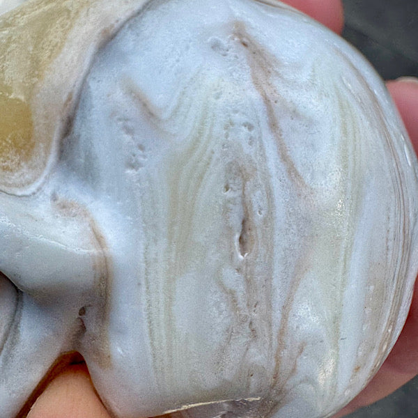 calciet zebra human skull schedel lichtwezen grijs oranje wit