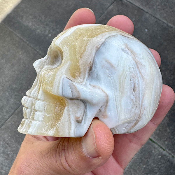 calciet zebra human skull schedel lichtwezen grijs oranje wit