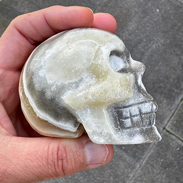 calciet zebra human skull schedel lichtwezen grijs oranje wit